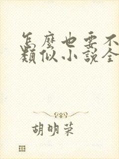 怎么也要不够她类似小说全文免费