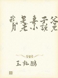 我是妻子父亲的月老小说免费阅读