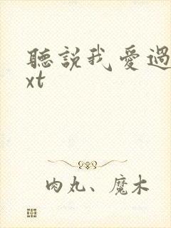 听说我爱过你txt