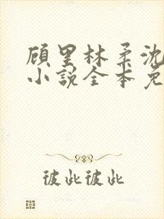 顾里林柔沈峰的小说全本免费阅读