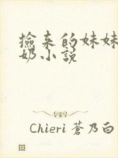 捡来的妹妹会产奶小说
