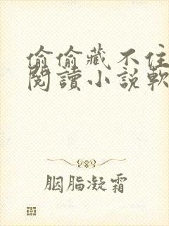 偷偷藏不住免费阅读小说软件
