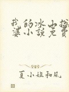 我的冰山总裁老婆小说免费