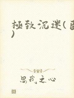极致沉迷(臣年)封面