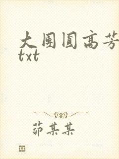 大团圆高芳小说txt