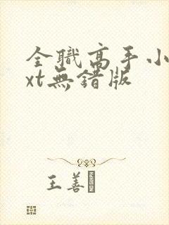 全职高手小说txt无错版