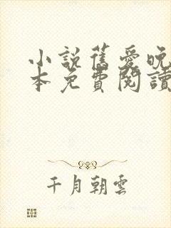 小说旧爱晚成全本免费阅读
