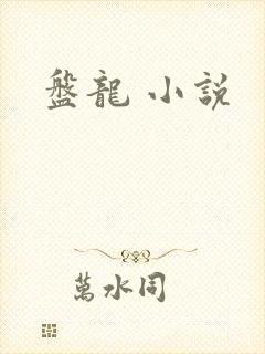 盘龙 小说