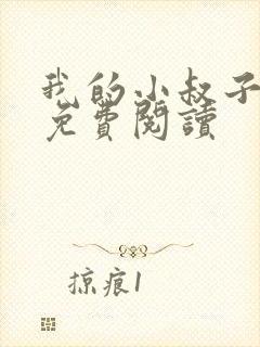 我的小叔子小说免费阅读