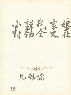 小说我家娘子不对劲全文在线阅读封面