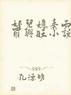 好儿媳秦雨罗明罗兴旺小说