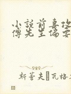 小说前妻攻略:傅先生偏要宠我txt下载