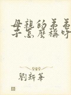 母亲的弟弟的儿子怎么称呼