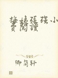 梅姨张强小城免费阅读