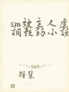 sm被主人虐玩调教的小说封面