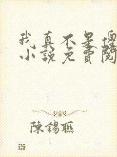 我真不是傻子了小说免费阅读全文