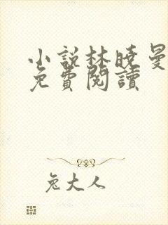 小说林晓曼老高免费阅读
