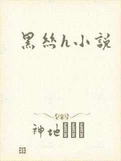 黑丝h小说