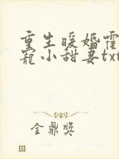 重生暖婚霍总狠宠小甜妻txt