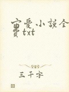 宙爱小说全文免费txt