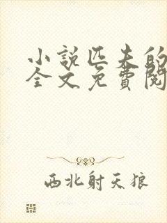 小说匹夫的逆袭全文免费阅读免费