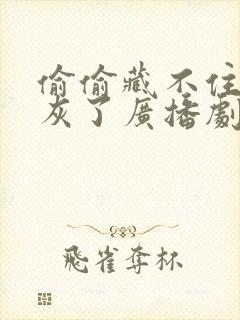 偷偷藏不住都积灰了广播剧封面