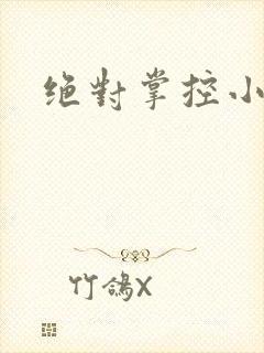 绝对掌控小说