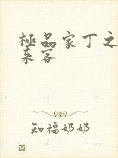 极品家丁之远方来客封面