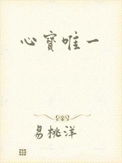 心宝唯一