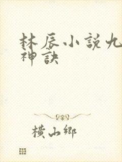 林辰小说九天斩神诀