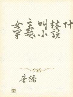 女主叫林什么的穿越小说