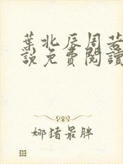叶北辰周若妤小说免费阅读无弹窗
