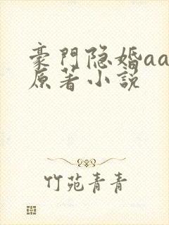 豪门隐婚aa制原著小说