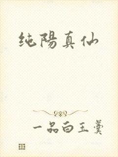 纯阳真仙