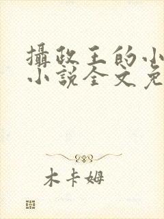 摄政王的小闲妻小说全文免费阅读