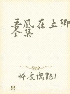 吾凰在上卿在下全集封面