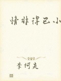 情非得已小说封面
