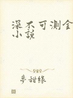 深不可测金银花小说