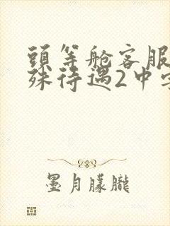 头等舱客服的特殊待遇2中字封面