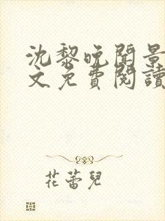 沈黎晚闻景川全文免费阅读封面