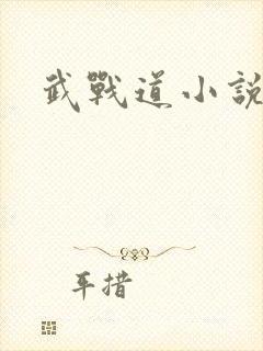 武战道小说封面