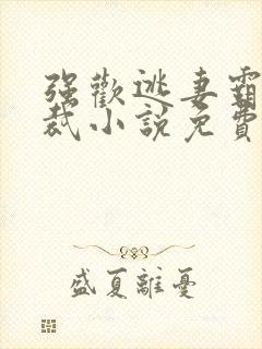 强欢逃妻霸道总裁小说免费阅读全文