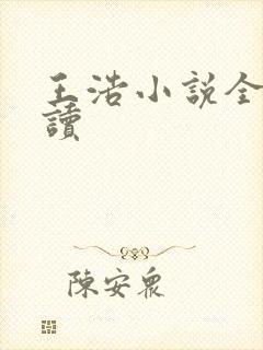 王浩小说全文阅读