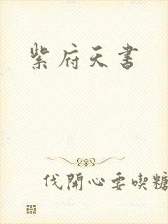 紫府天书