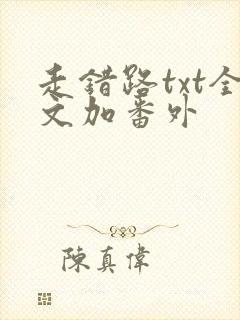 走错路txt全文加番外