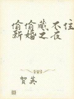 偷偷藏不住番外新婚之夜