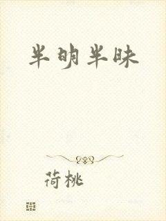 半明半昧