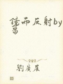 镜面反射by九葛封面
