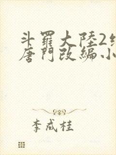 斗罗大陆2绝世唐门改编小说封面