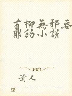 有柳无邪吞天神鼎的小说